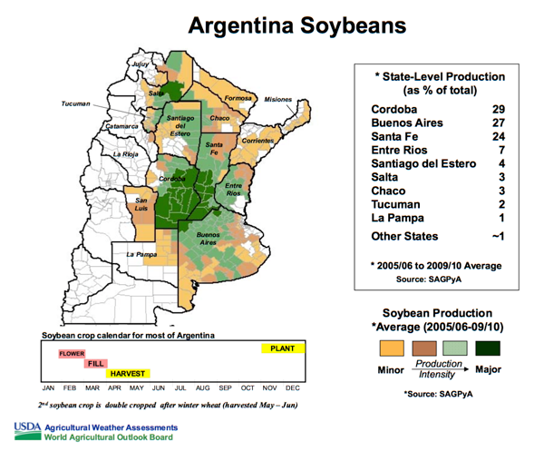 Argentina Beans Image