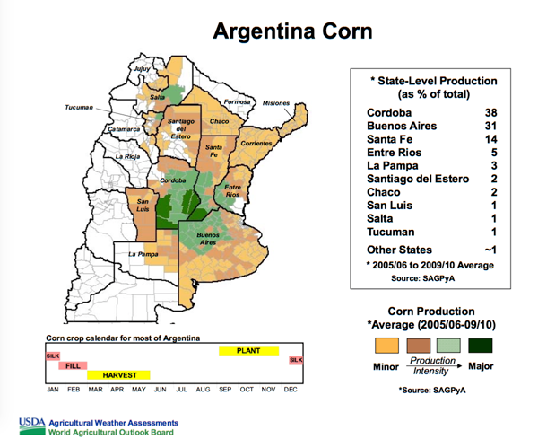 Argentina Corn Image