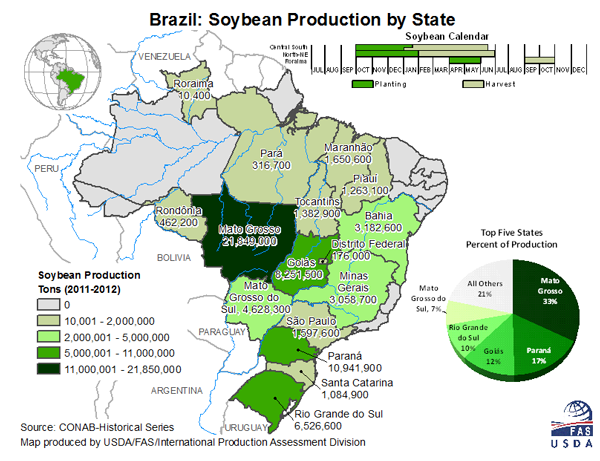 Brazil Beans By State Image