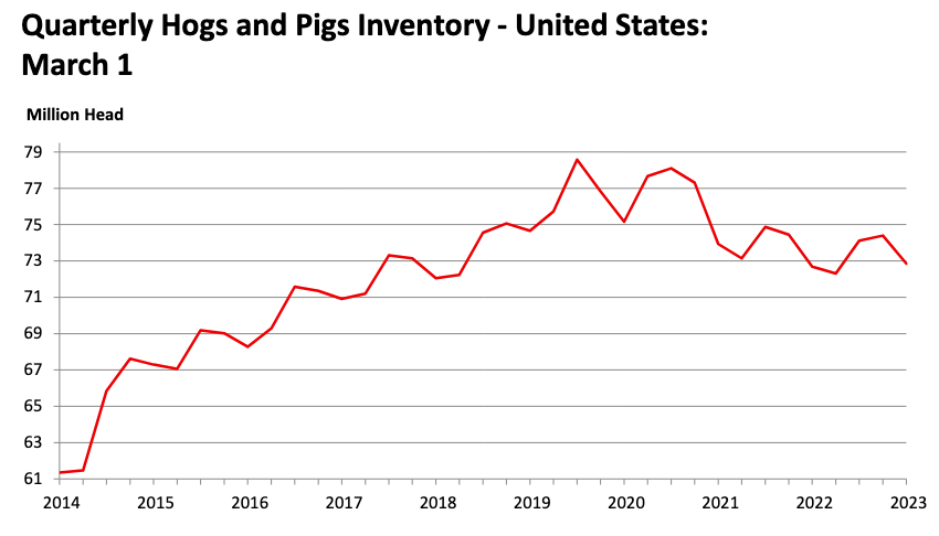 Hog and Pig Inventory Image