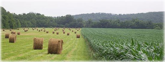 Integrity Ag Marketing Field Image