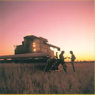 combine-image.jpg