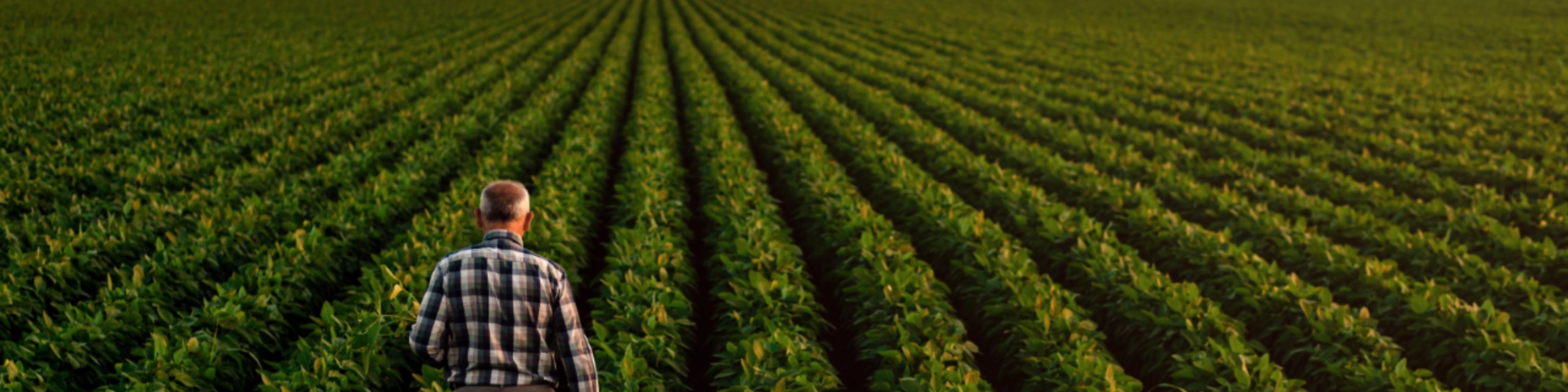 Integrity Ag Marketing Image 1