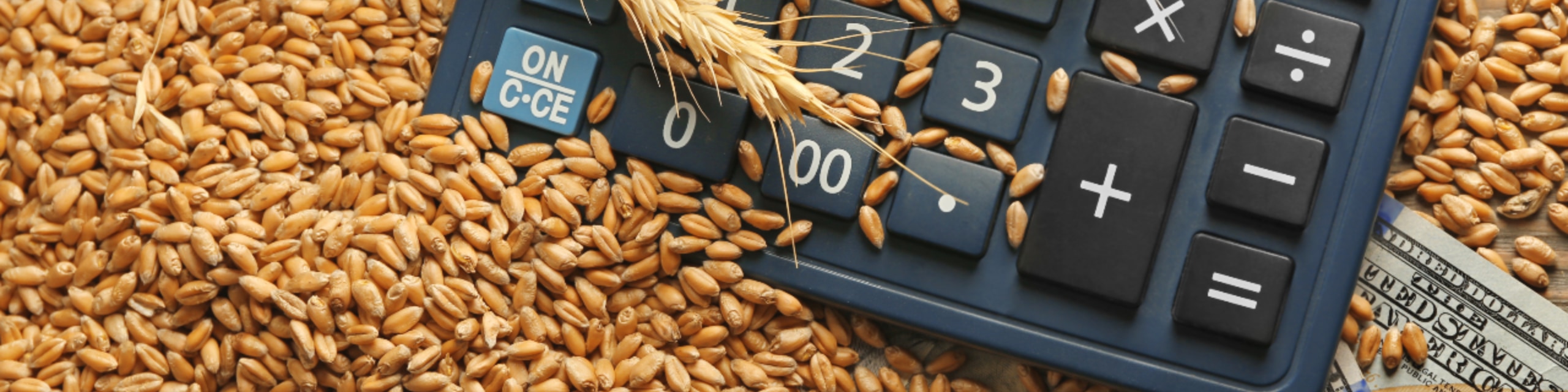 Integrity Ag Marketing Image 4